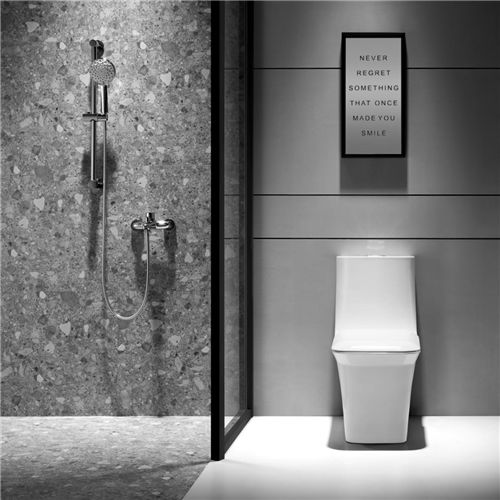 解決衛生間的終極難題，箭牌衛浴一步搞定