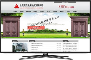 專業(yè)網(wǎng)絡(luò)技術(shù)服務(wù) 松江網(wǎng)站建設(shè)、制作與設(shè)計解決方案