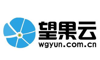 售前咨詢待遇解析 聚焦中小企業(yè)咨詢服務(wù)與看準(zhǔn)網(wǎng)平臺(tái)
